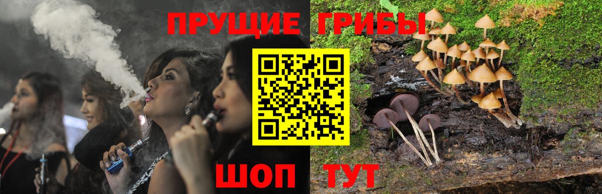 Галлюциногенные грибы Psilocybe  Вход с VPN  Рыбинск  продажа наркотиков  Галлюциногенные грибы MAGIC MUSHROOMS 