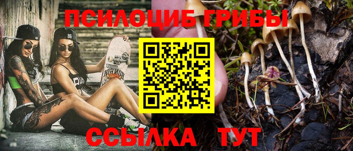 Галлюциногенные грибы Psilocybine cubensis Рыбинск